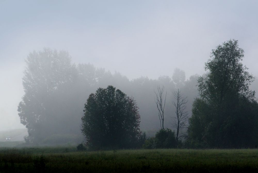 Photograph by Олег Машковский