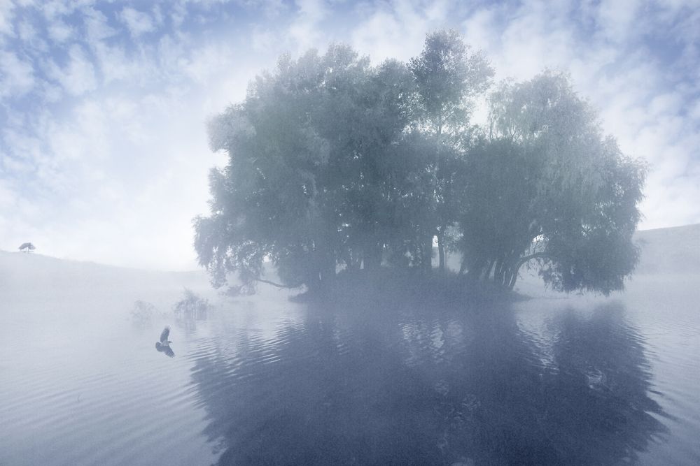 Photograph by Олег Машковский