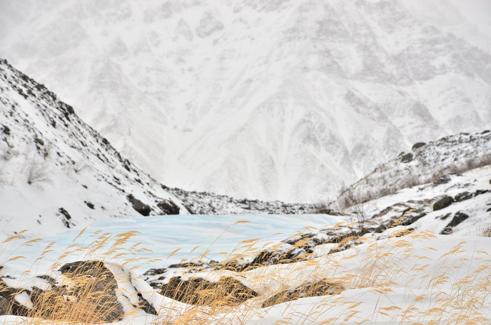 Фотография автора Данил Барашков