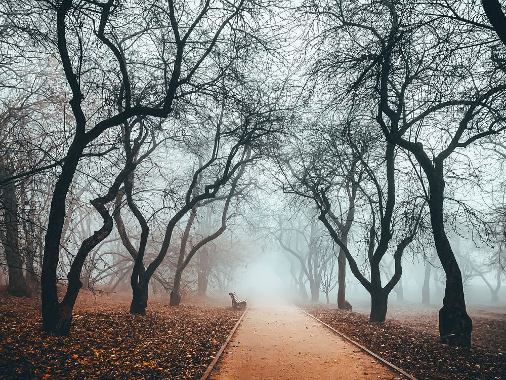 Photograph by Никита Борзов