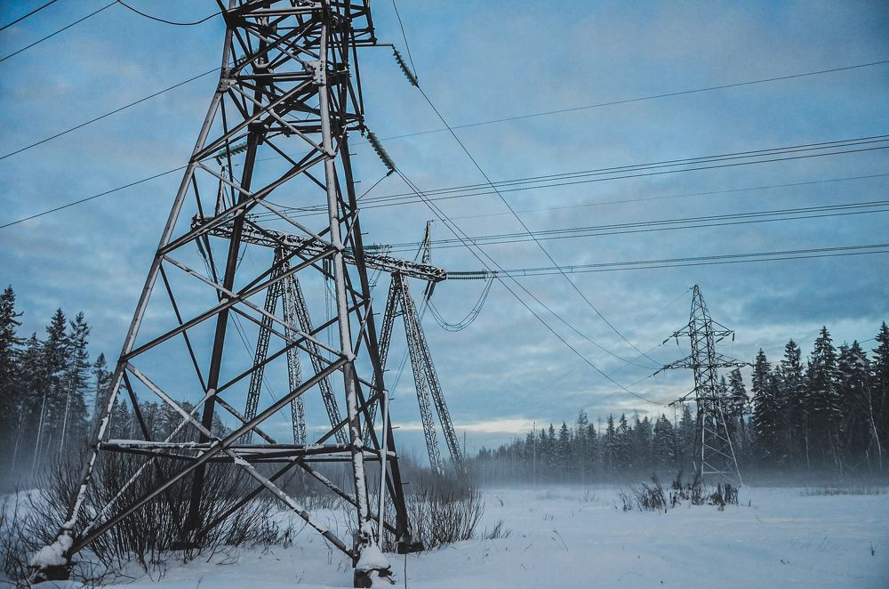 Фотография автора Алина Черняева