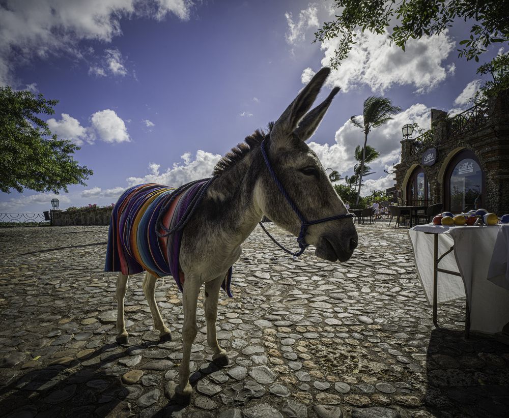 Photograph by Дмитрий Емельянов