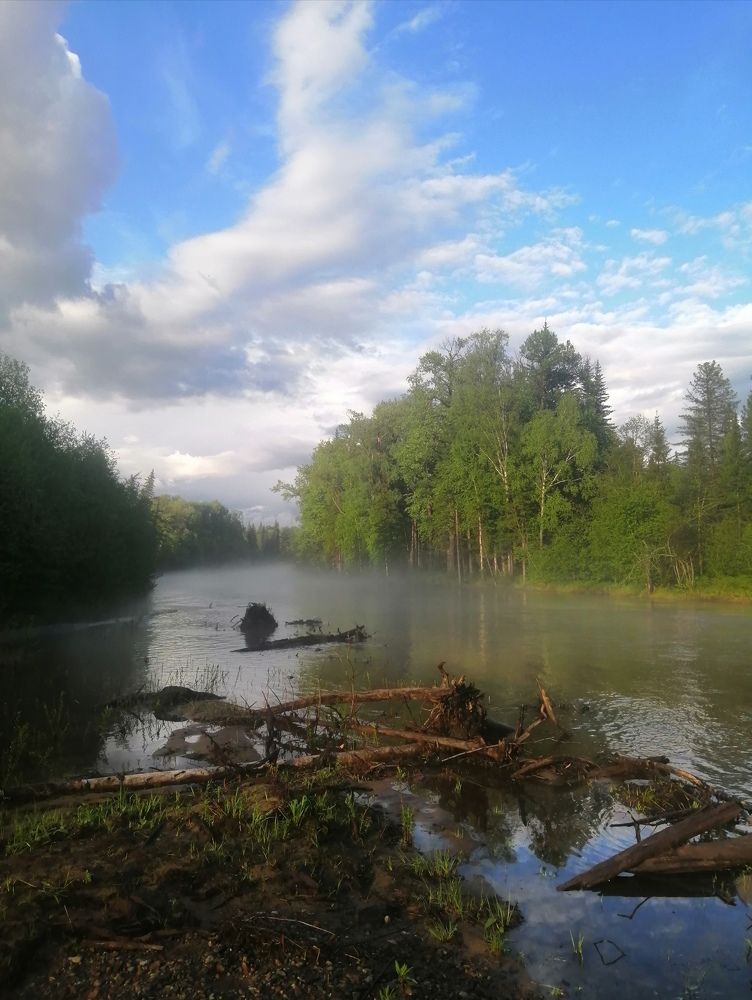 Photo #6758241