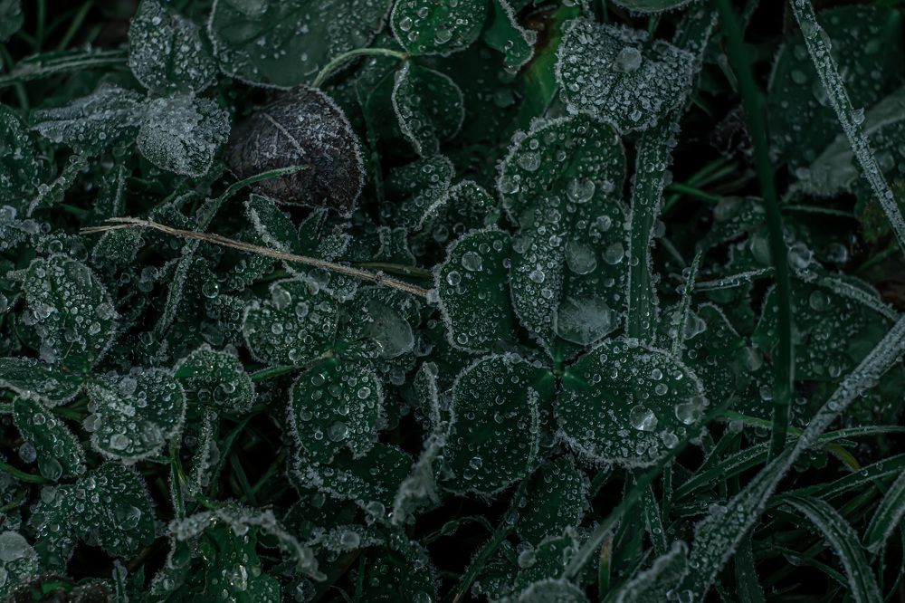 Photograph by Екатерина Климовцева