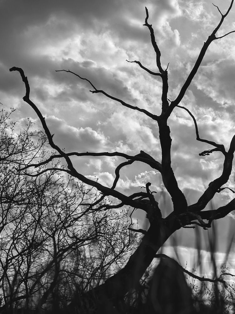 Photograph by Сергей Скарженюк