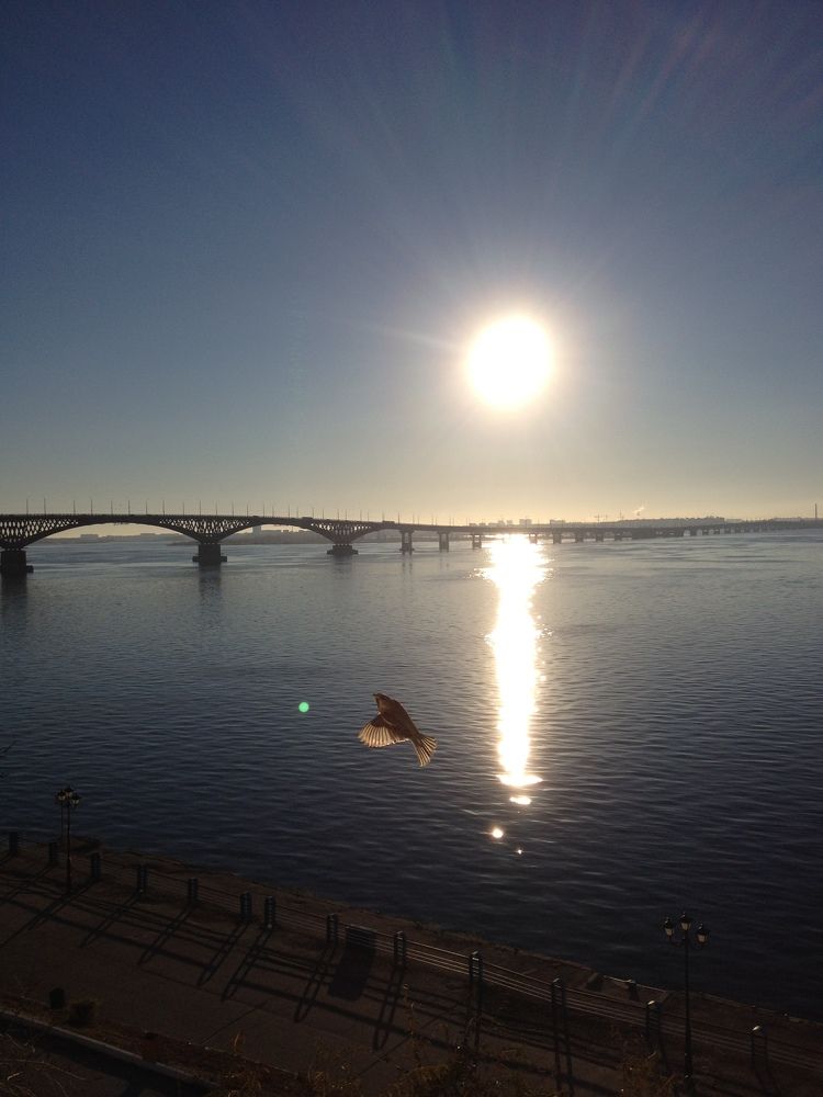 Photograph by Юлия Аушева