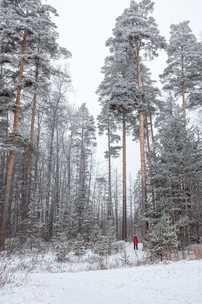 Photograph by Лариса Метелева