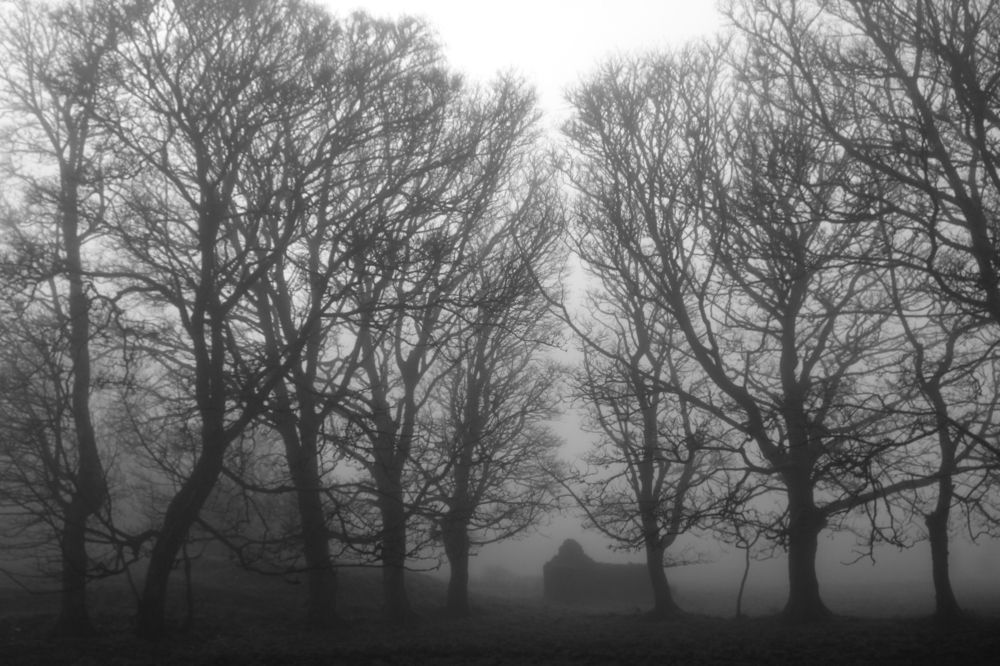 Photograph by Avril Glavin