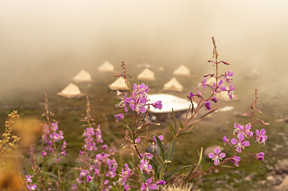 Photograph by Елена Гоосен