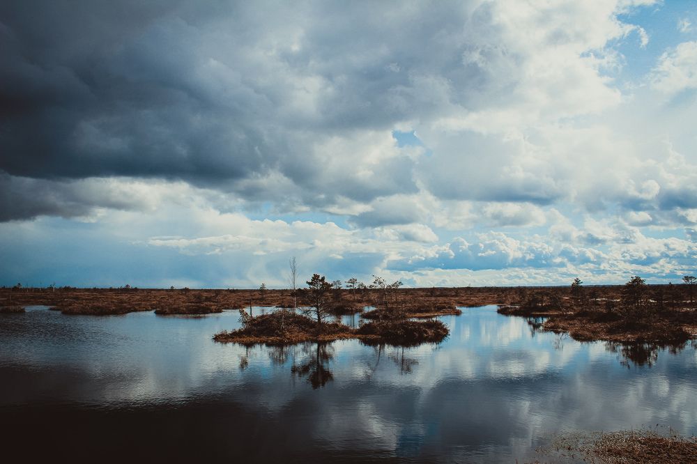 Photograph by Виктория Володько