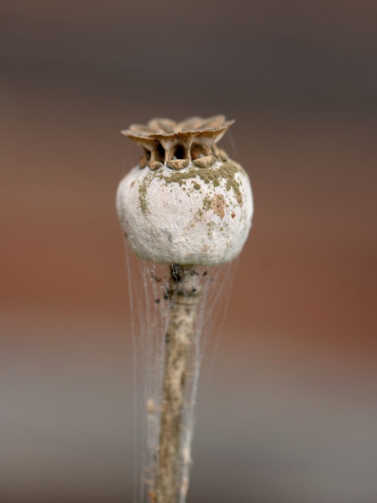 Фотография автора Екатерина Молодкина