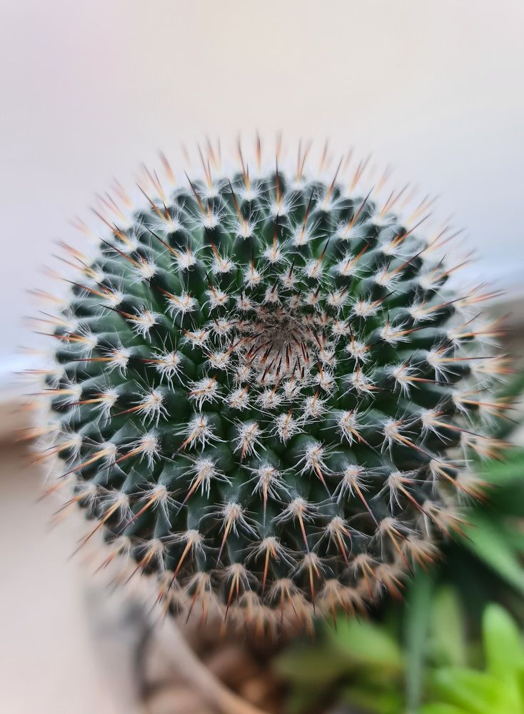 Photograph by Ольга Кротова