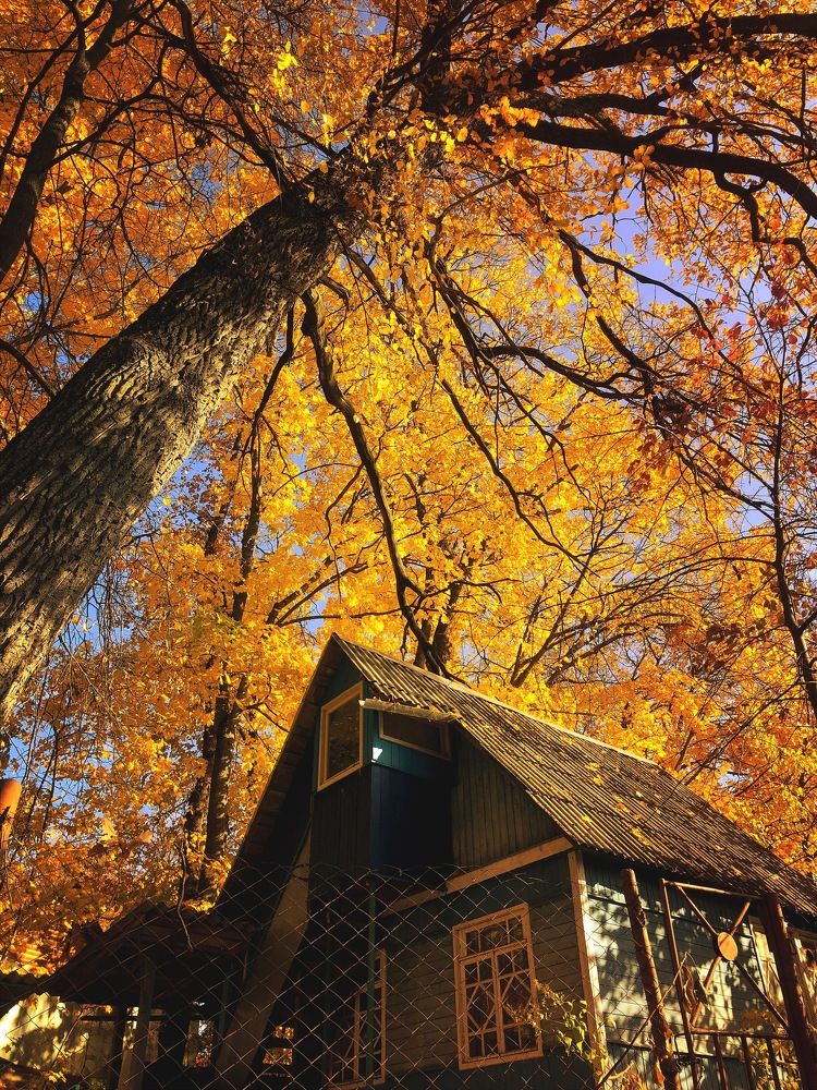 Photograph by IrinaV