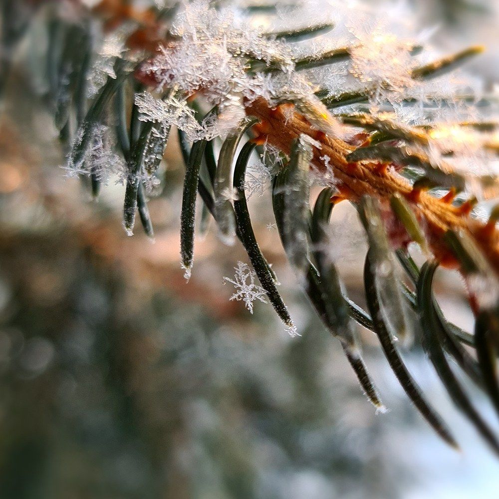 Photograph by Ольга Кротова