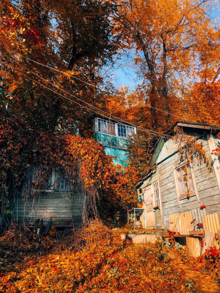 Photograph by IrinaV