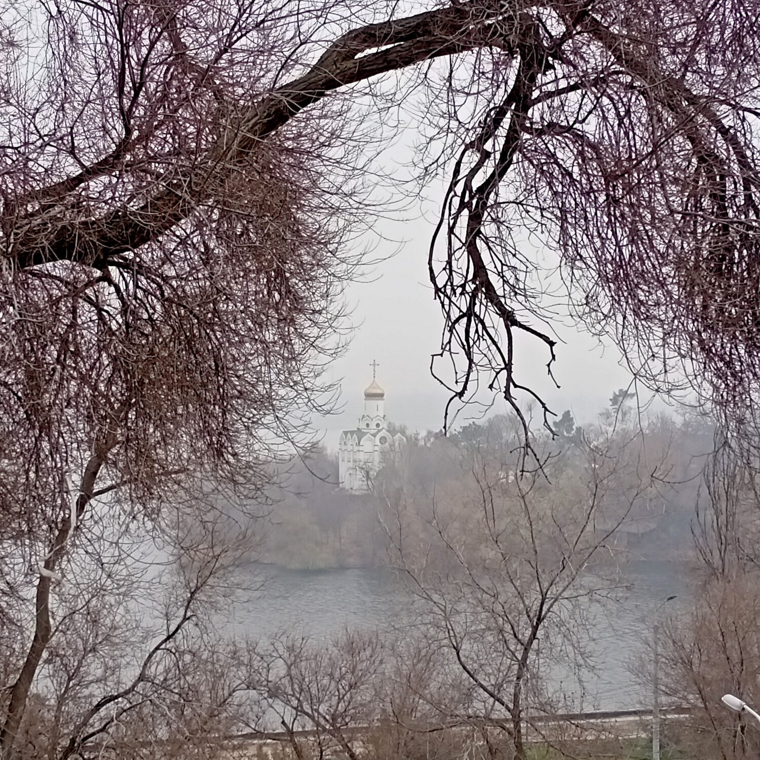 Photo #6758568