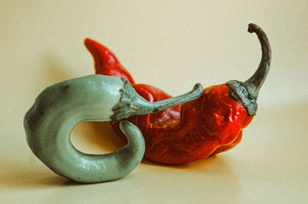 Photograph by Дарья Погонцева