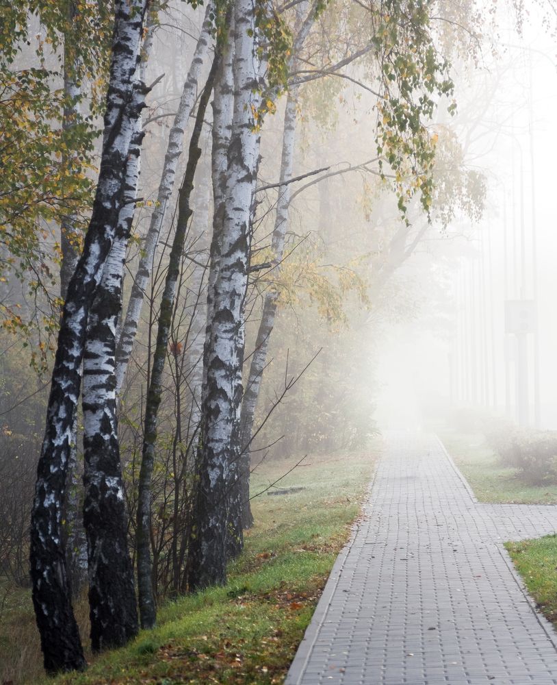 Фотография автора Ирина Яздан Мехр