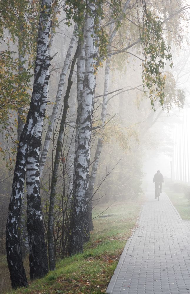 Фотография автора Ирина Яздан Мехр