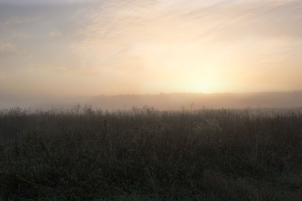 Photograph by Tatiana Kravchuk