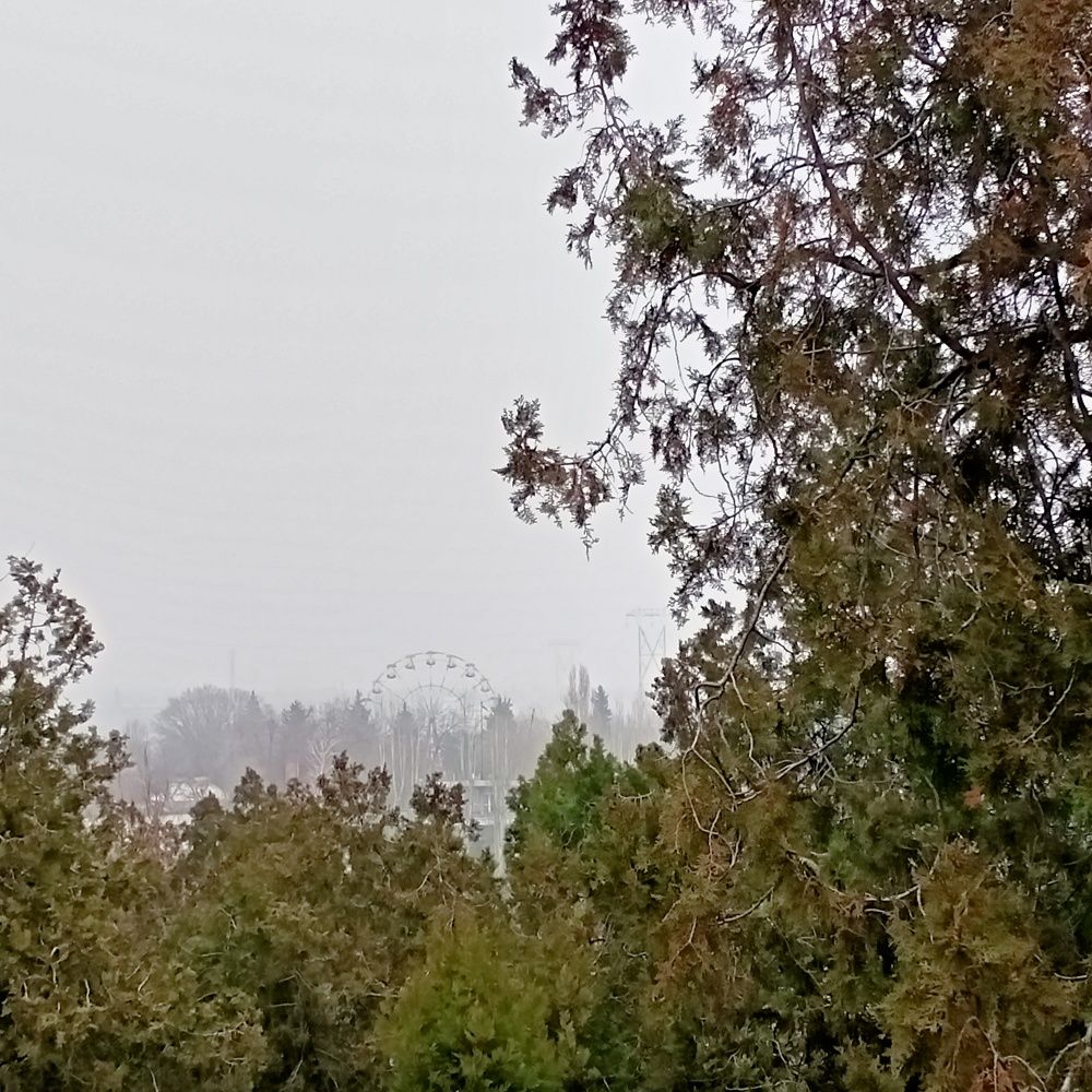 Photograph by Адамян Анна