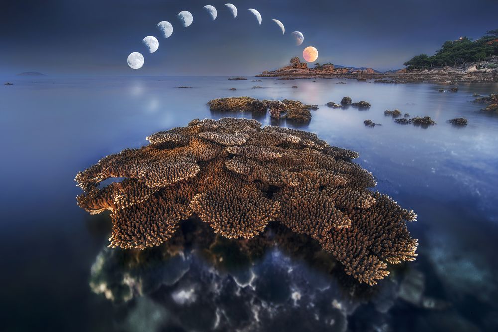 Photograph by Tran Khoa