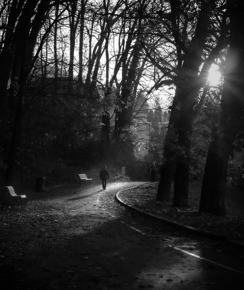 Photograph by Silviu Avramescu