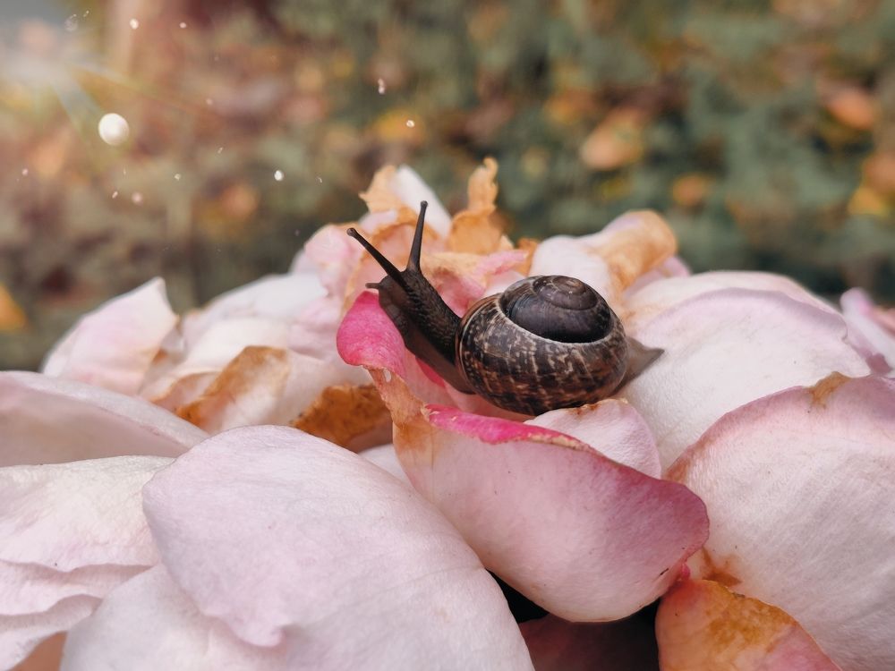 Photograph by Настасья Сергеева