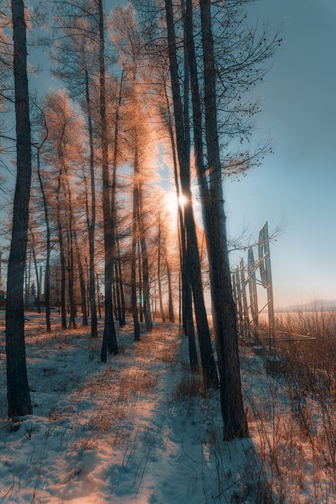 Photograph by Иван Сазыкин