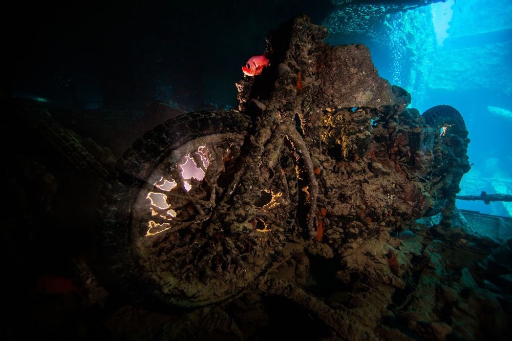 Photograph by Sergey Zaytsev