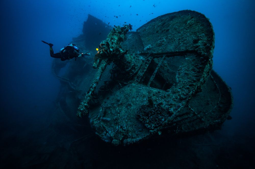 The light of life in the darkness of war