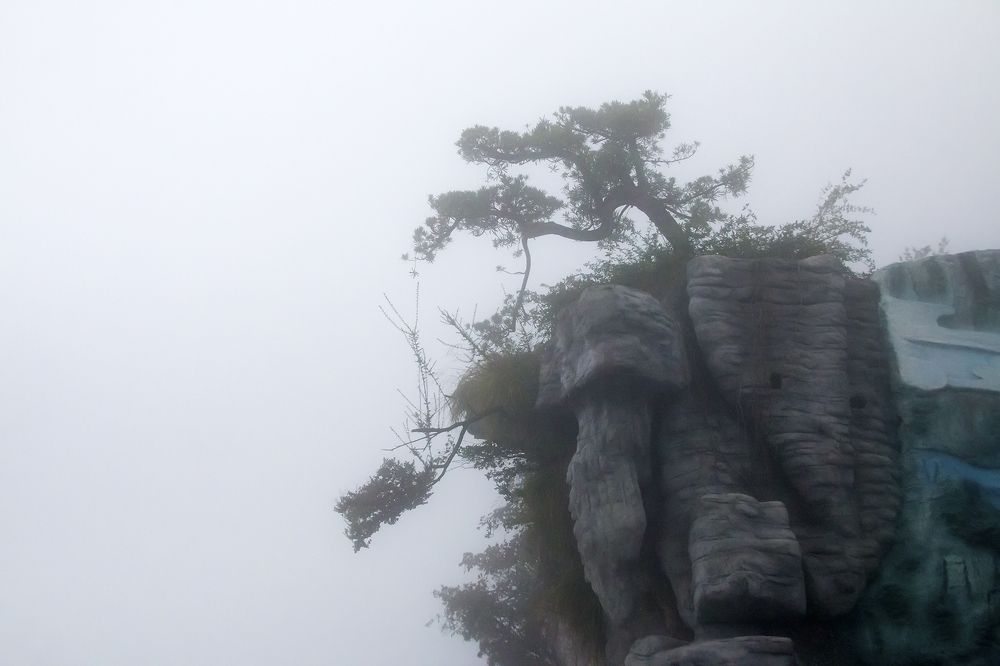 Photograph by Danny lai