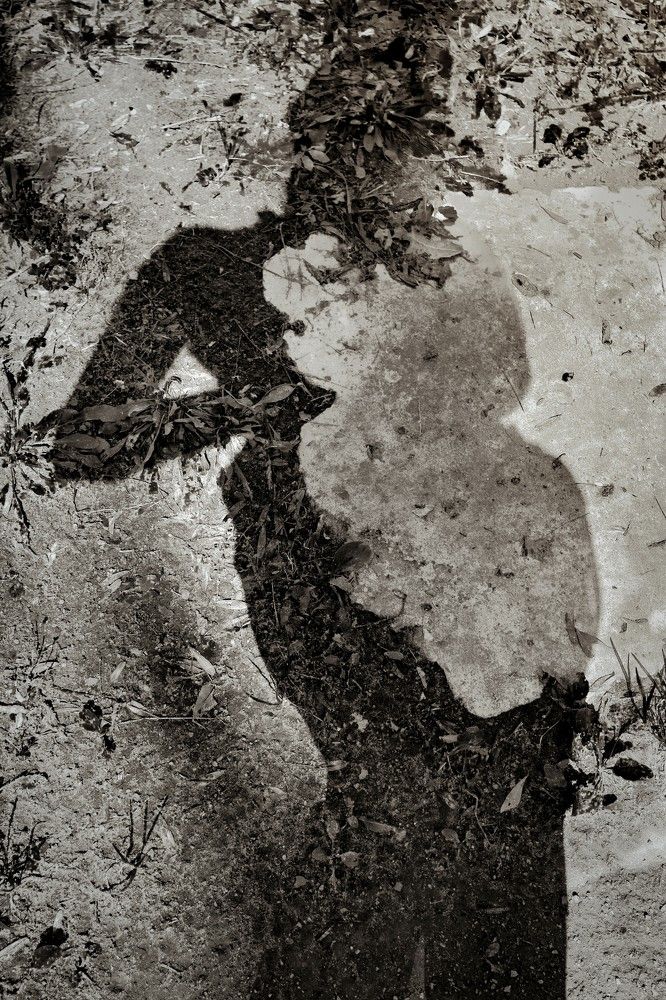 Photograph by Diana Mockeviciene