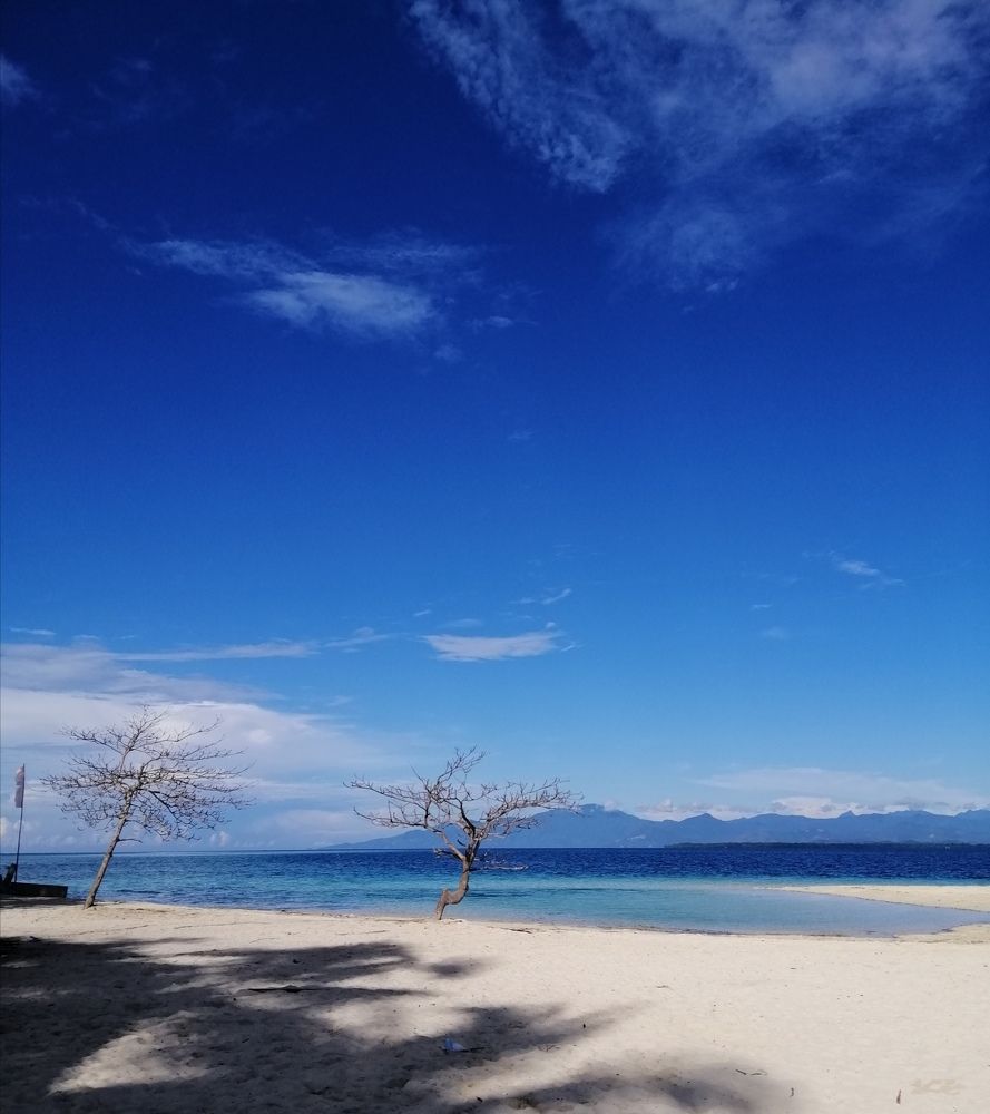 Photograph by Roe Gee