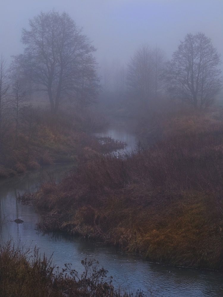 Photograph by Екатерина