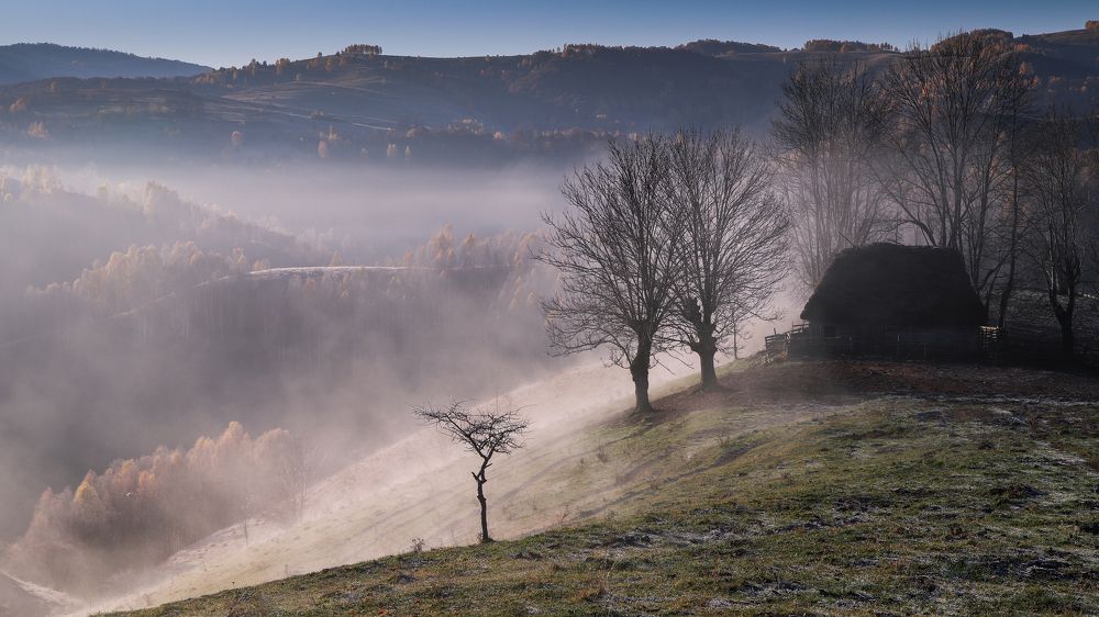 Фотография автора Flegner Calin