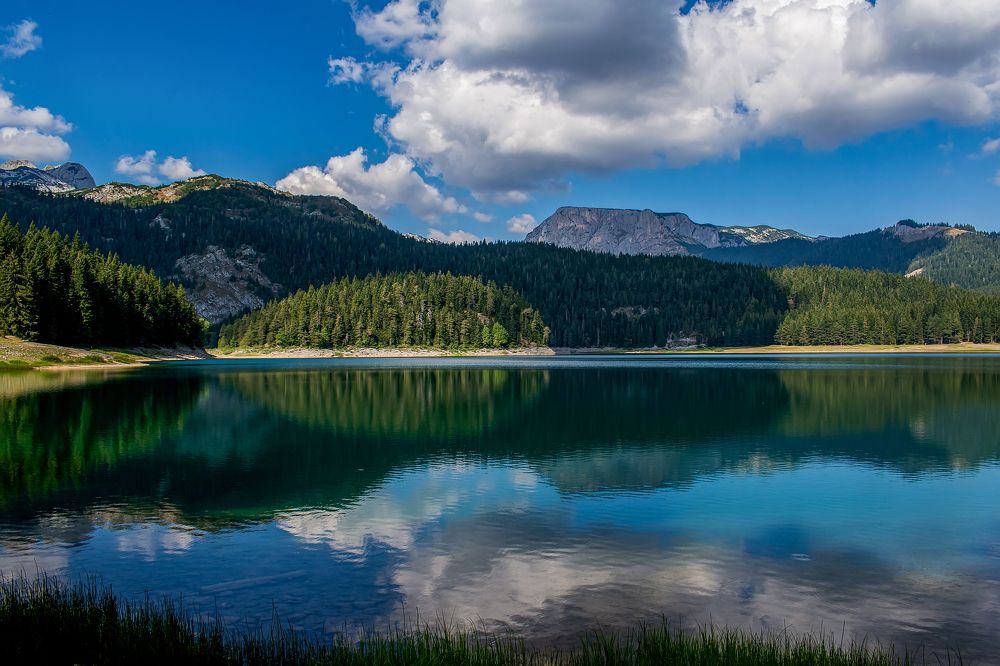 Photograph by Vira Popova