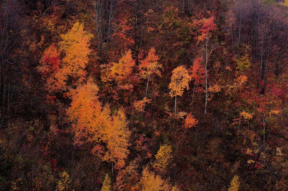 Photograph by Бычков Денис