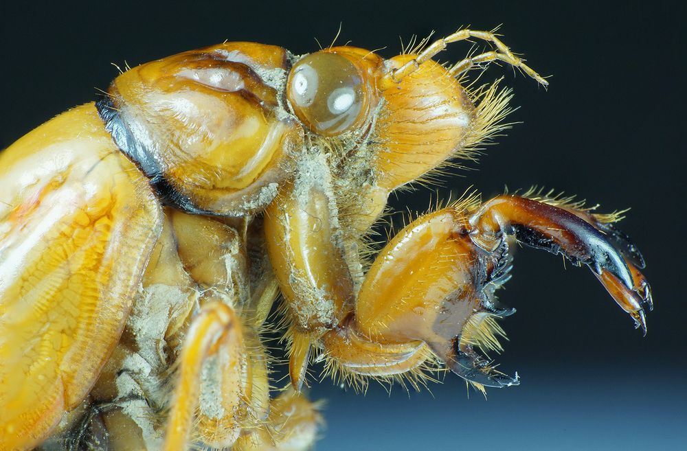 Photograph by Sergios  Kozmidis