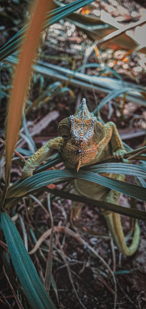 Photograph by Sling majjor