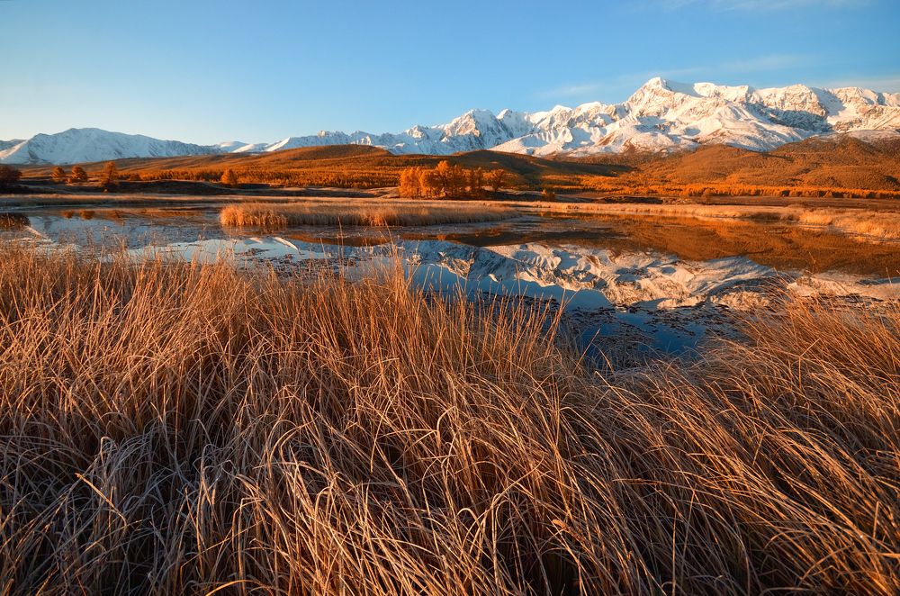 Фотография автора Данил Барашков