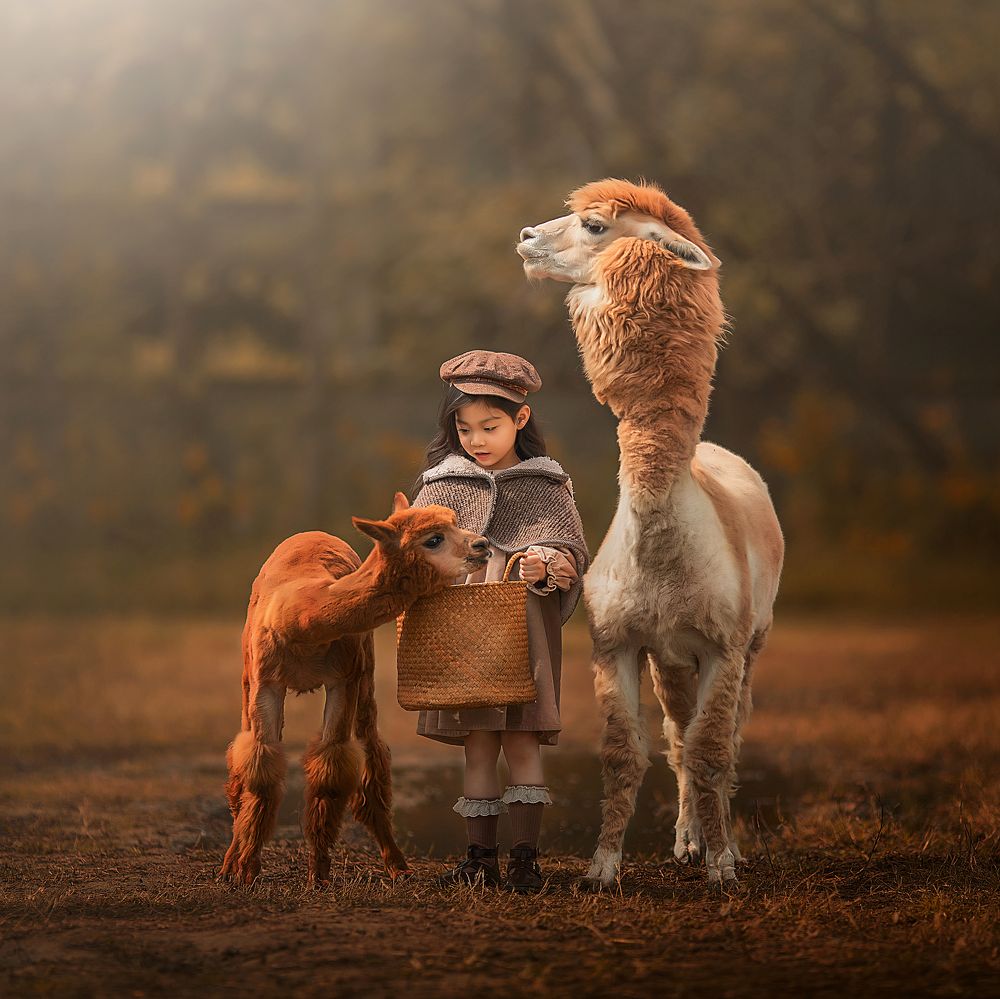 Photograph by Wen Wenqi