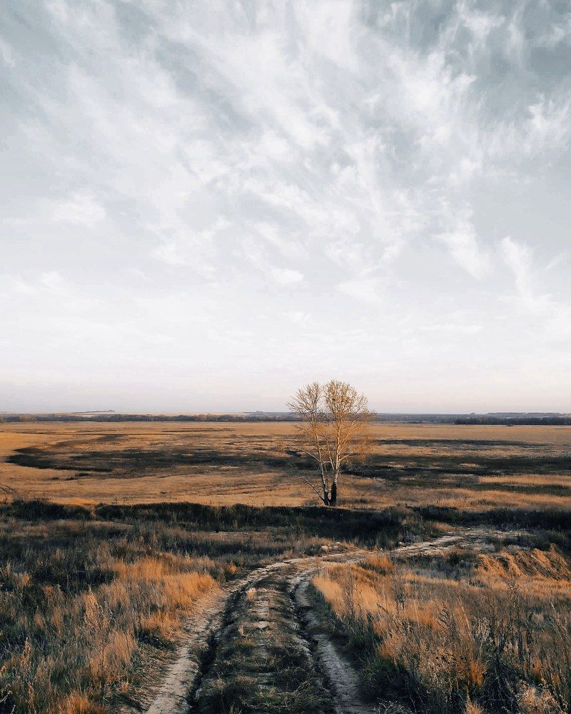 Одиночество.