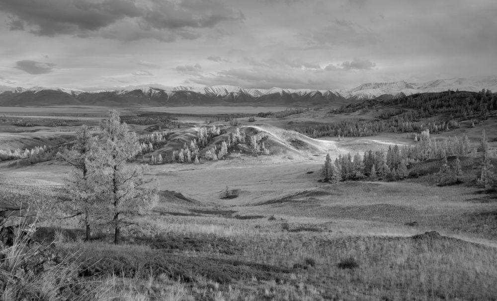 Путешествие дилетанта по алтайскому краю.