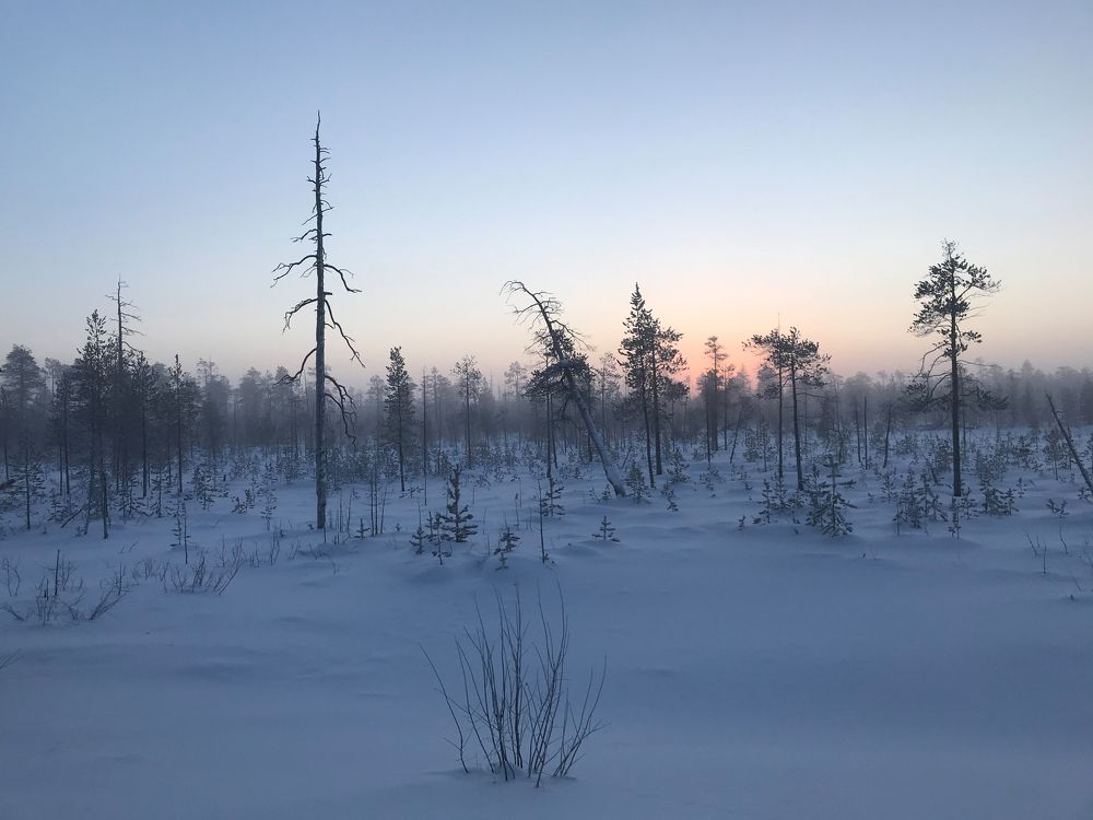 Photograph by Рашит Чумарин