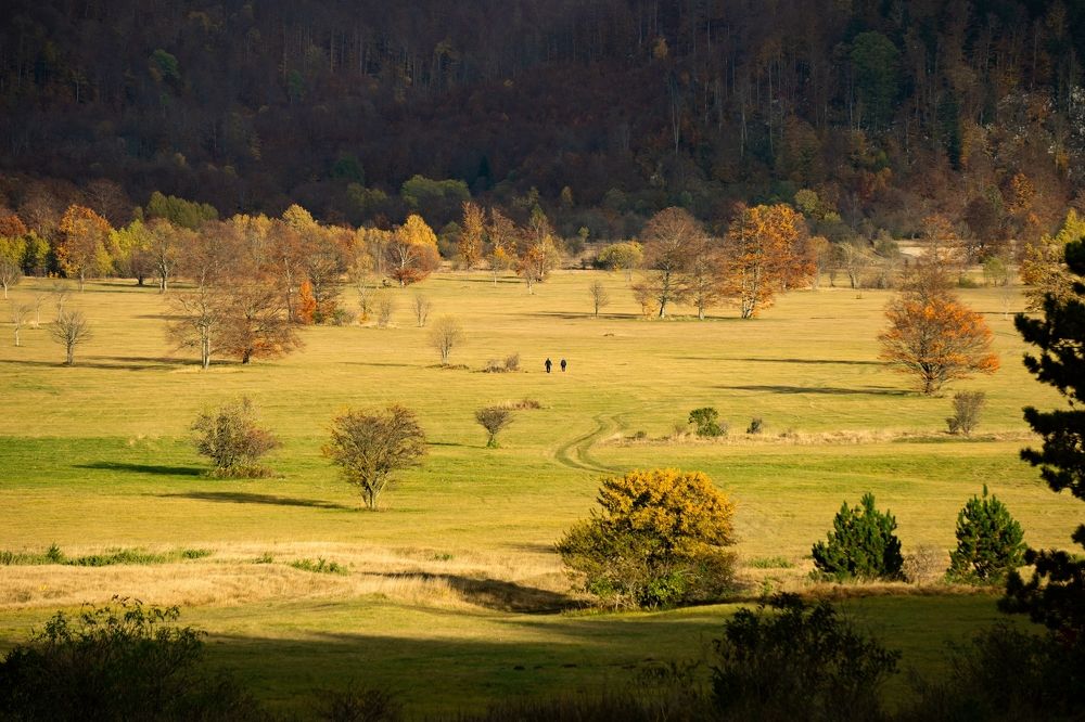 Photograph by Gordana Kvajo