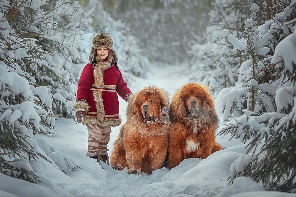 Фотография автора Анжелика