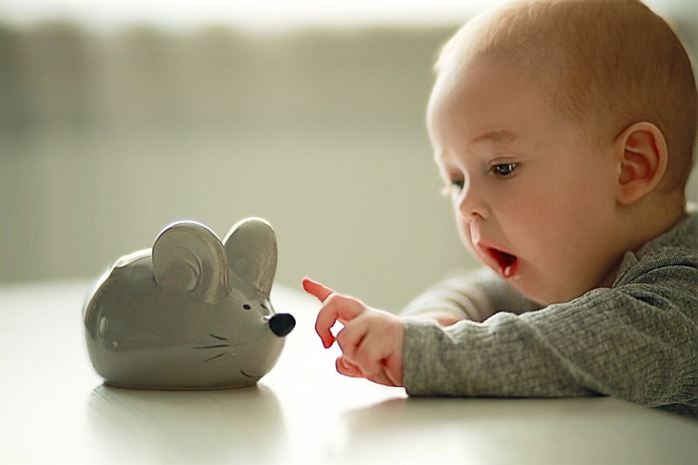 Photograph by Елена