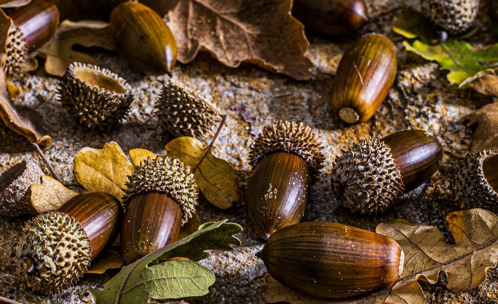 Photograph by Ritsa Karasmanoglou