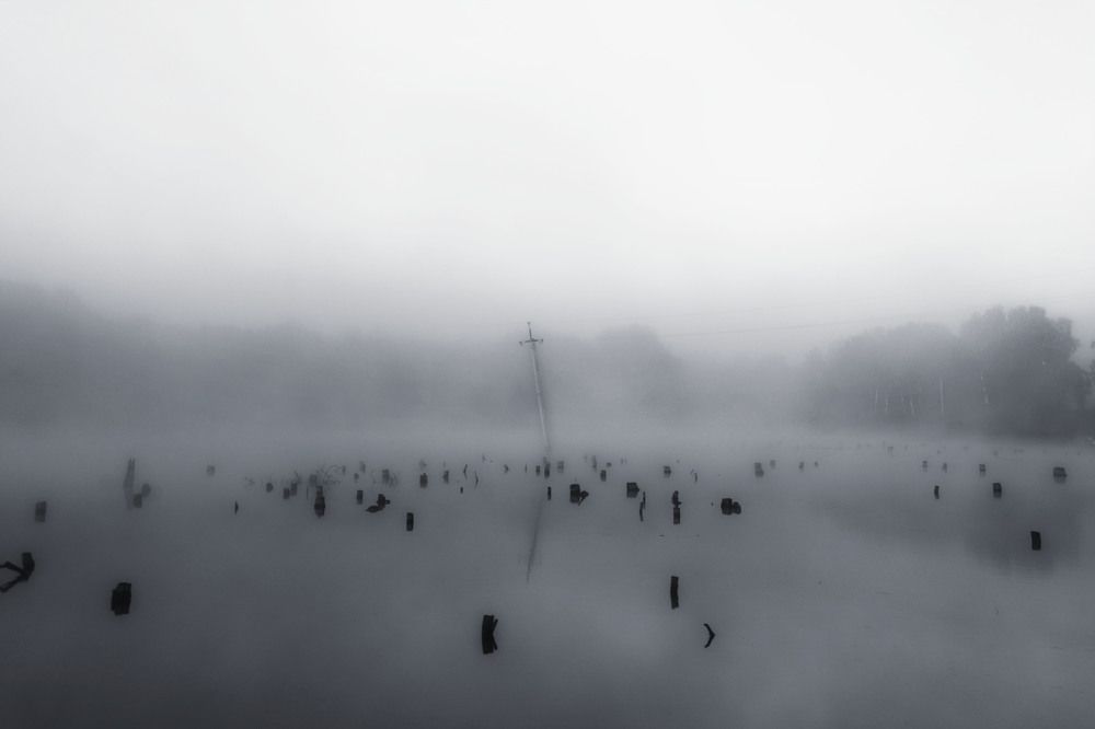 Photograph by Юлия Лушникова